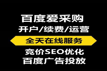百度搜索结果优化：SEO推广的经典案例